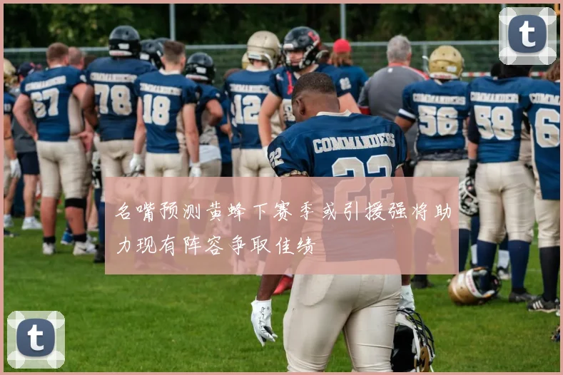 名嘴预测黄蜂下赛季或引援强将助力现有阵容争取佳绩